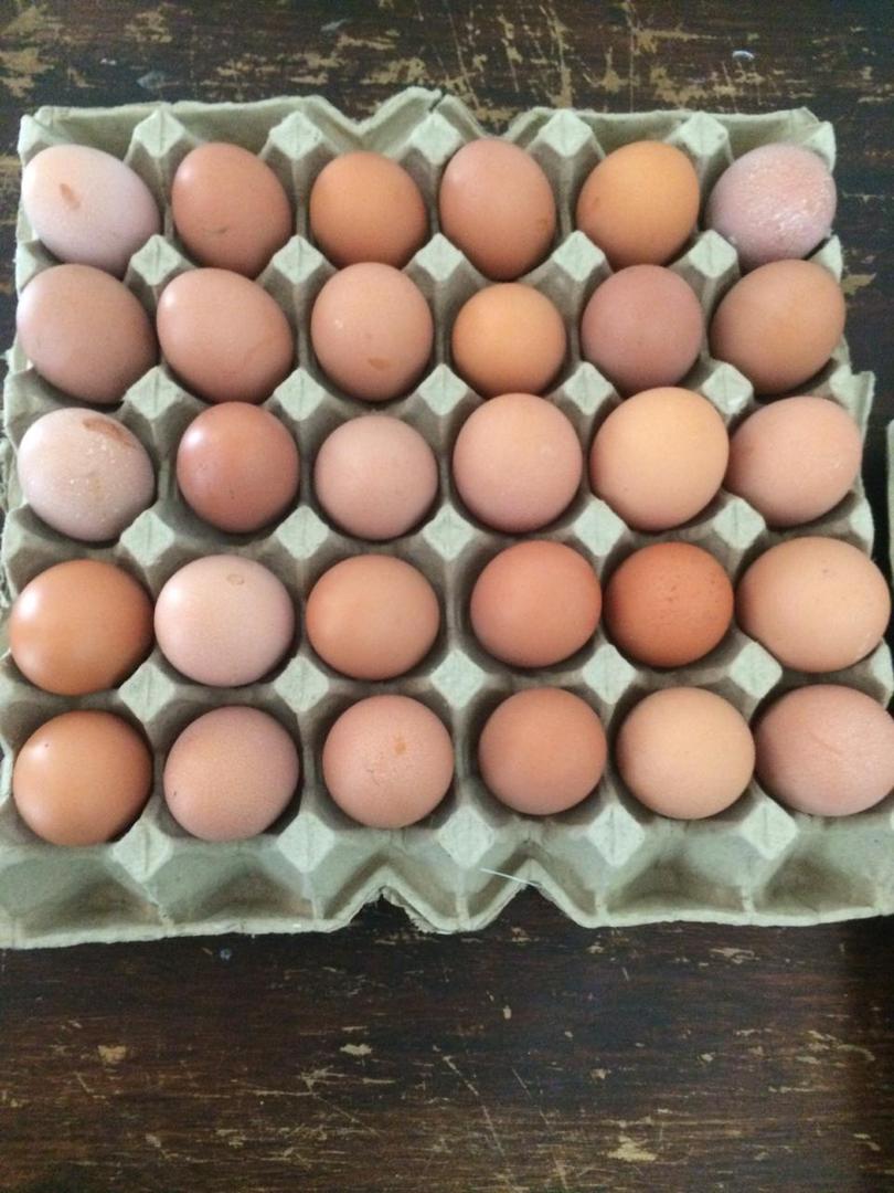 Huevos De Campo