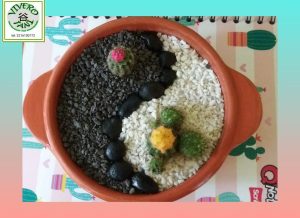 Terrario Decorativo De Cactus Y Suculentas