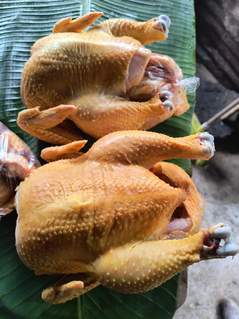 Pollo Campesino Canal