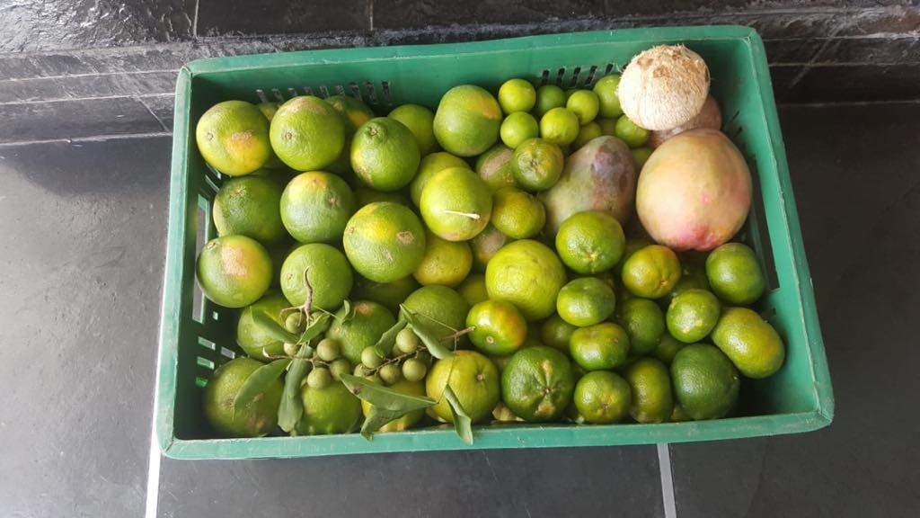Productos Varios