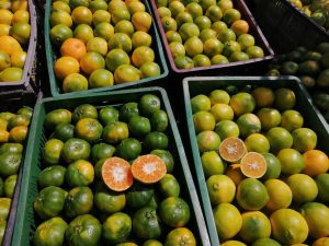 Mandarina Jugosa Variedad Arrayana Y Comun Por Canastilla De 20 Kilogramos