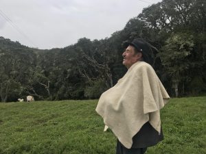 Papa Rubi