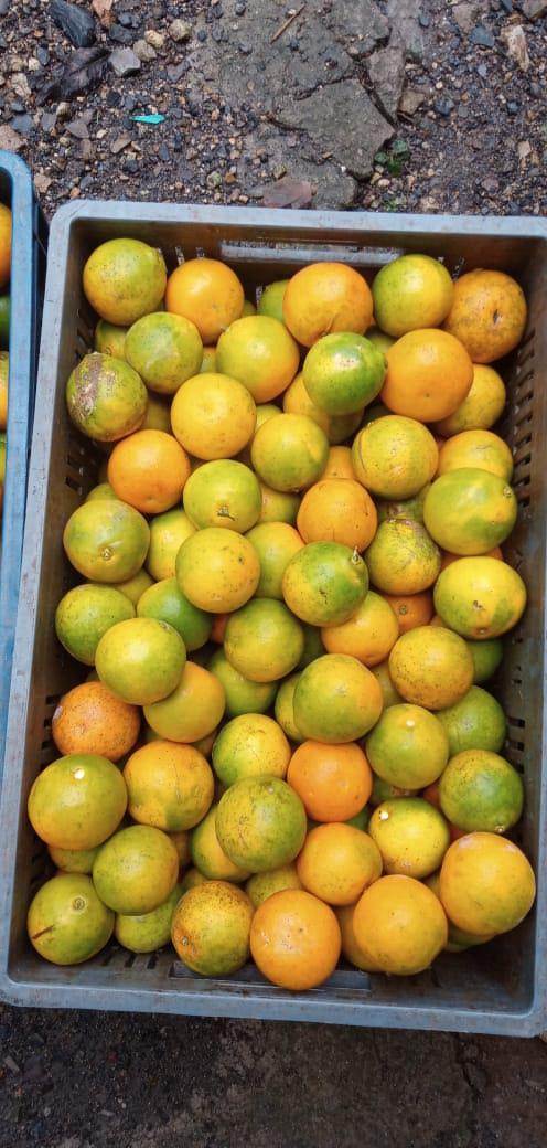 Naranja Super Jugosa Variedad Tangelo Presentacion Por Canastilla De 22 Kg