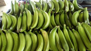 Platano Harton