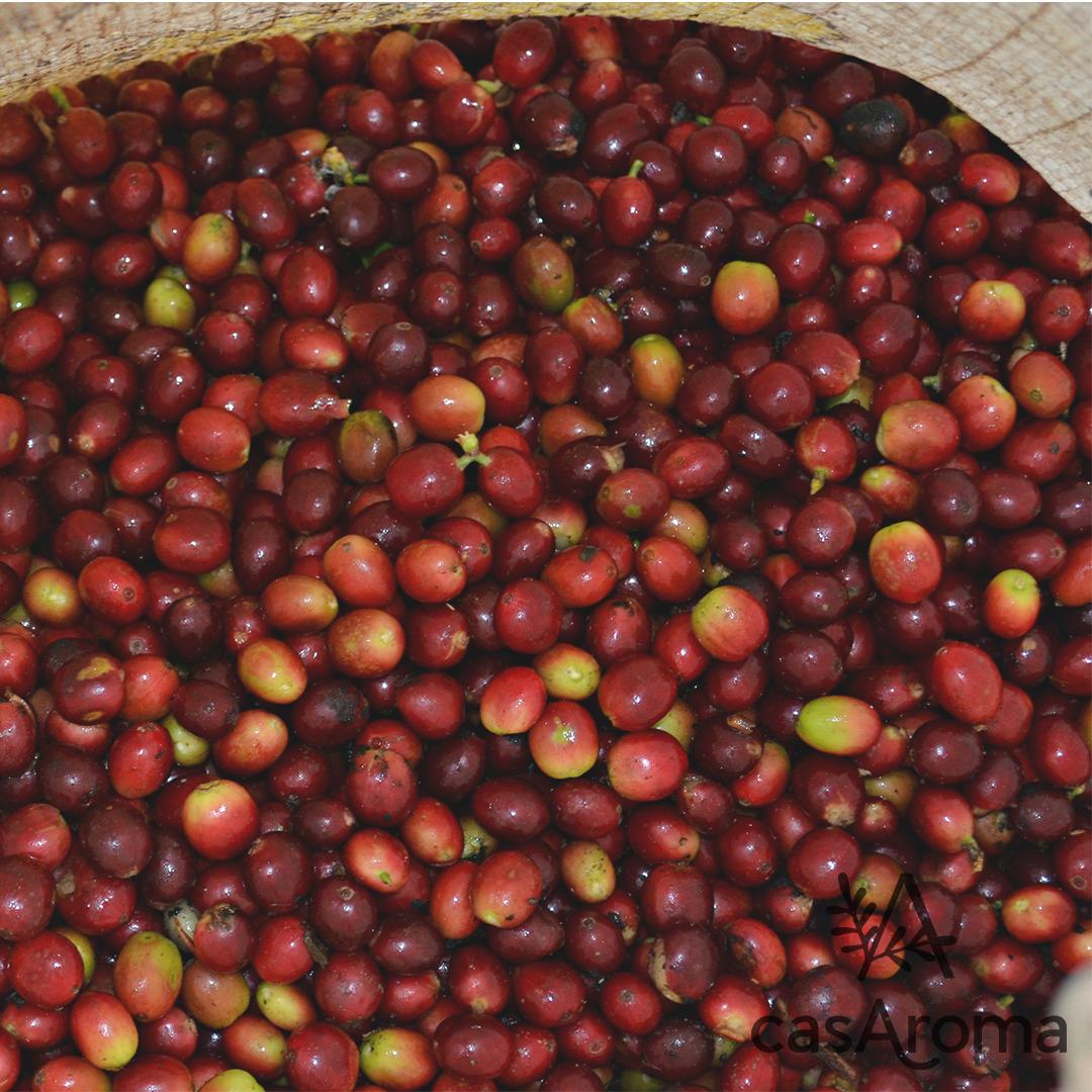Cafe Especial De Origen Santander