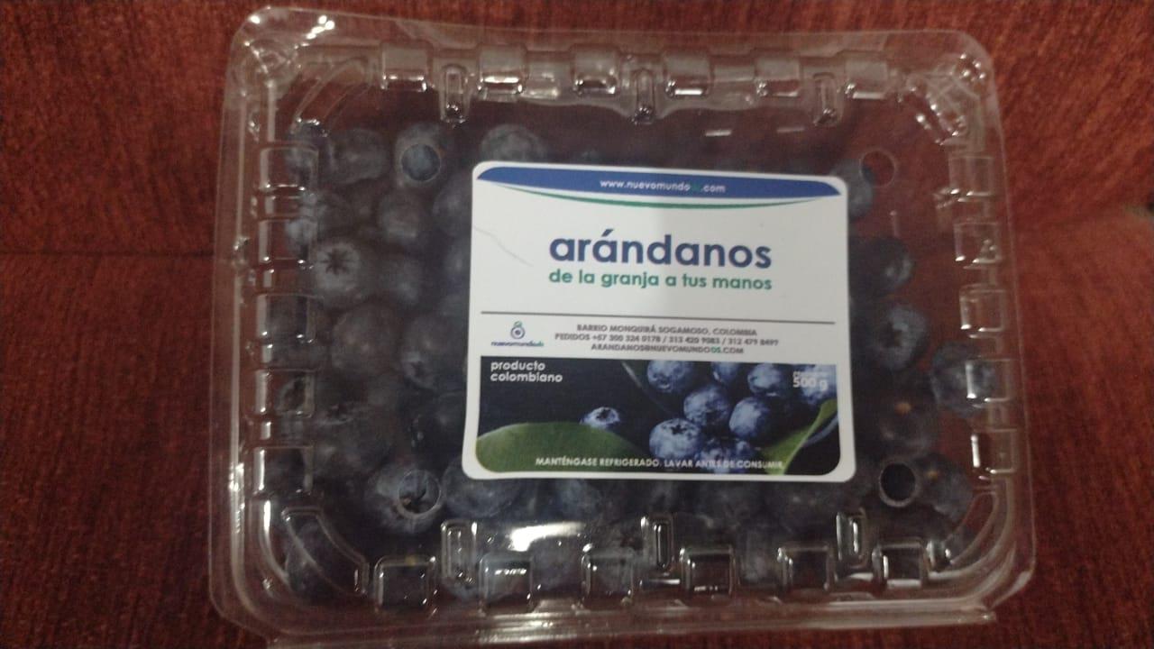 Arandanos Nuevo Mundo Ds
