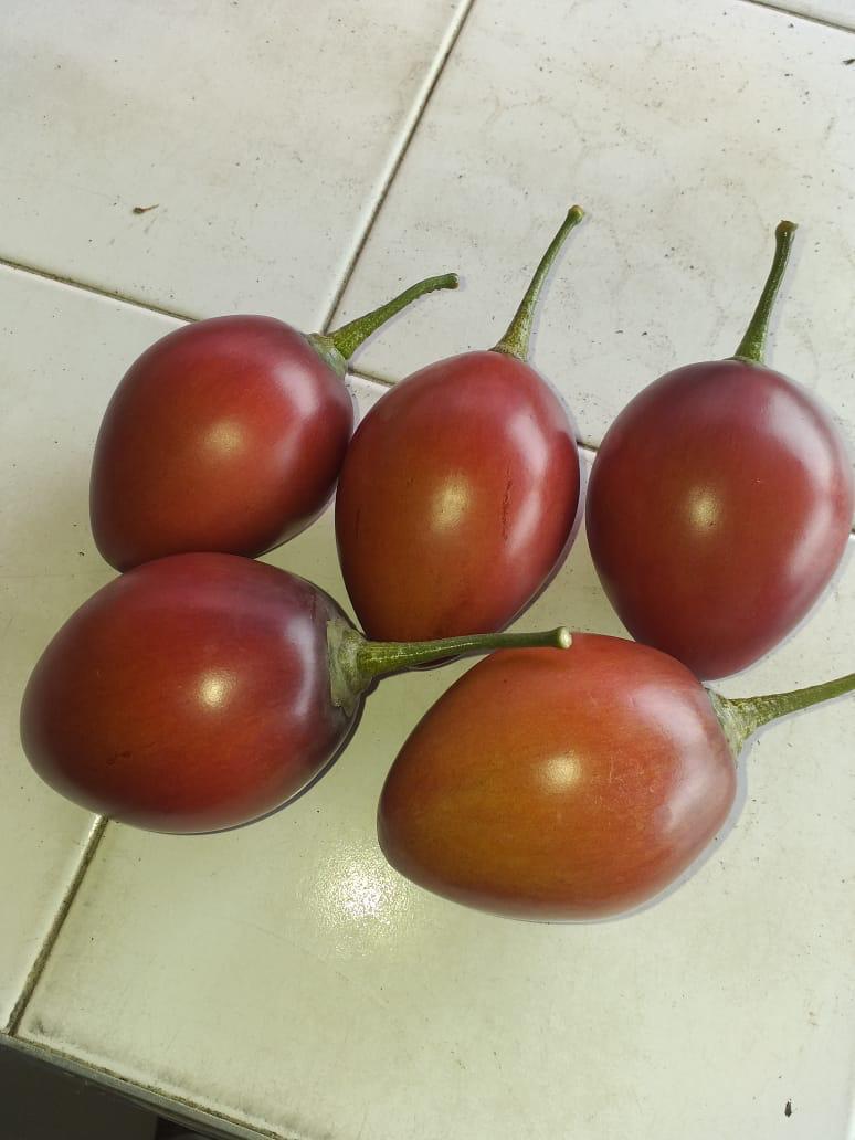 Tomate De Arbol — foto 2 de 2