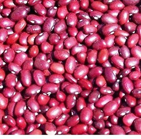 Frijol Rojo