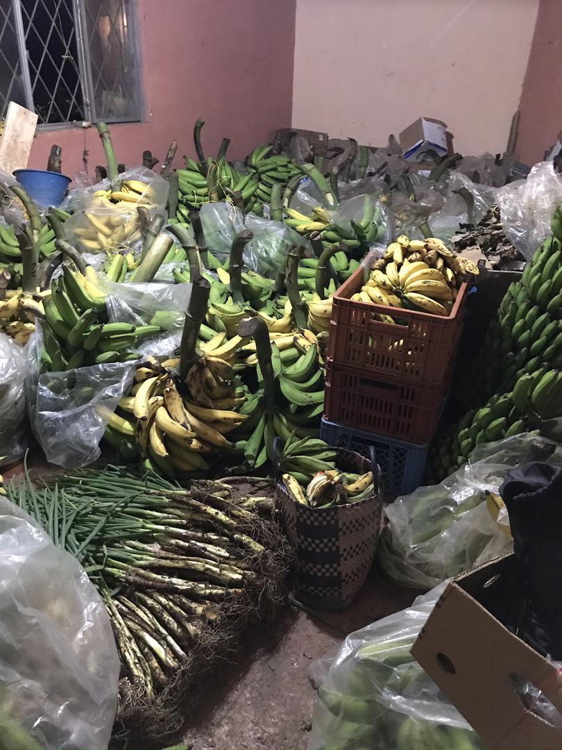 Platano Comun Y Enano Otros