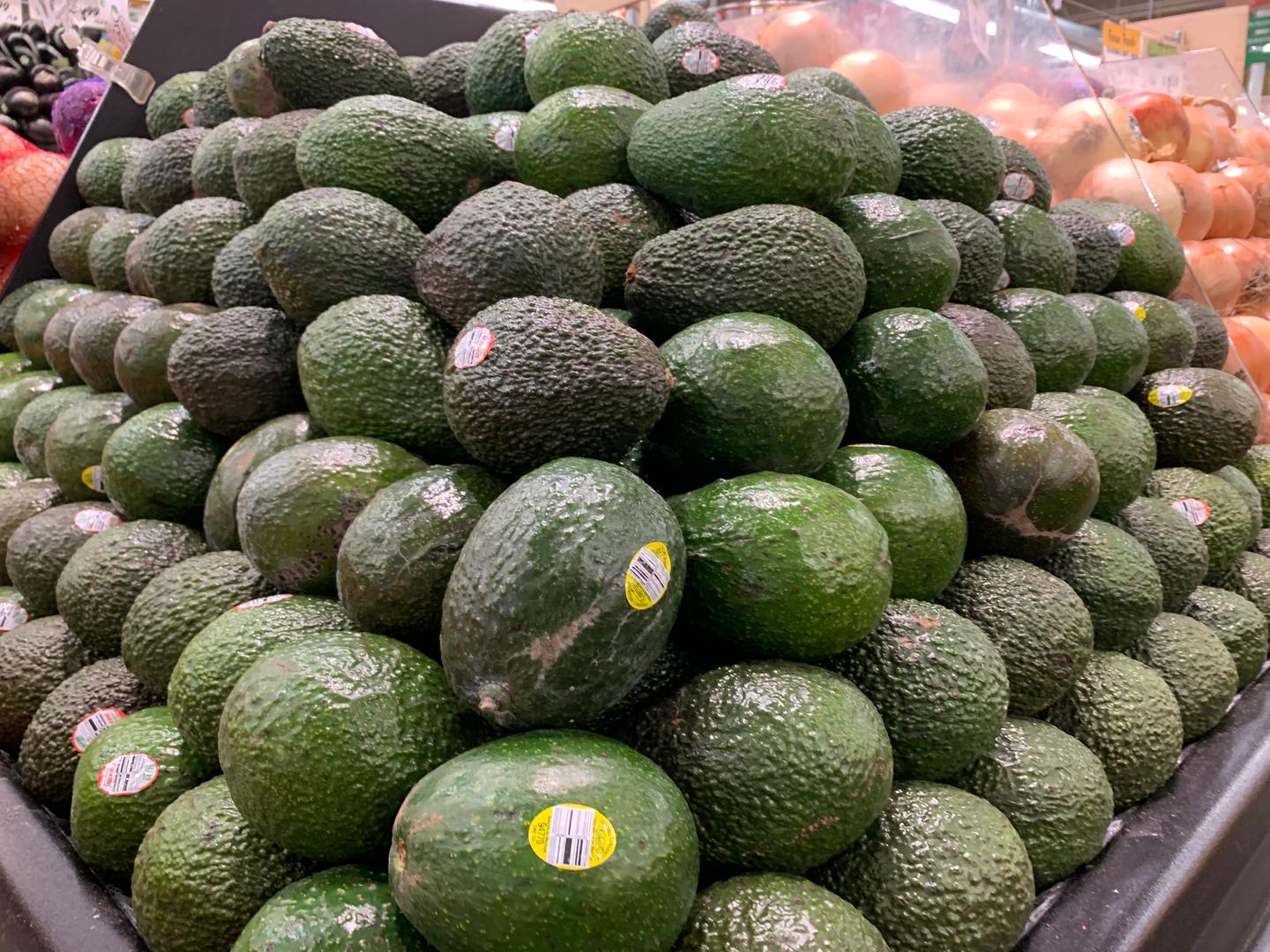 Aguacate Hass