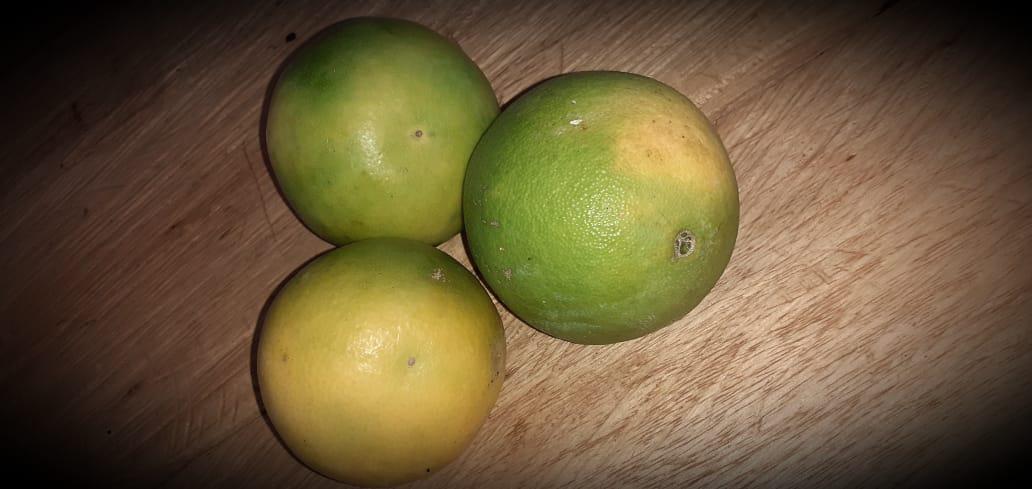 Limon Tahiti Y Mandarino En Presentacion Por Canastilla De 25 Kg