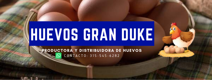 Huevo Comercial