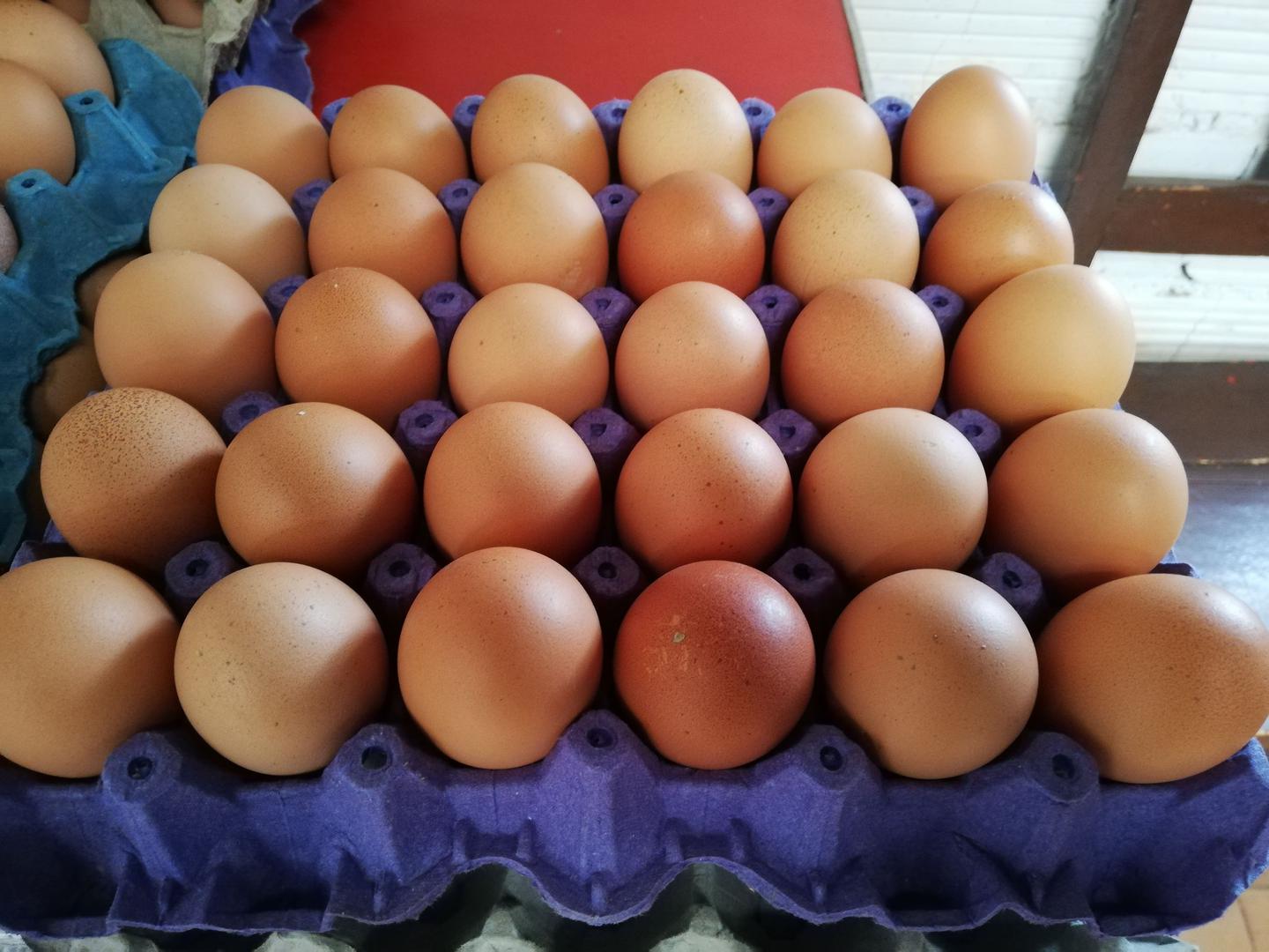 Huevo De Gallina