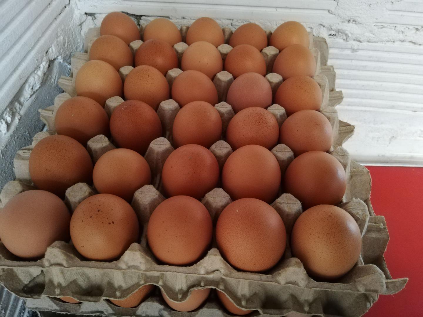 Huevo De Gallina