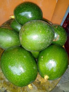 Aguacate Variedades Choquette Lorena Y Hass De Primera Calidad Por Kilos