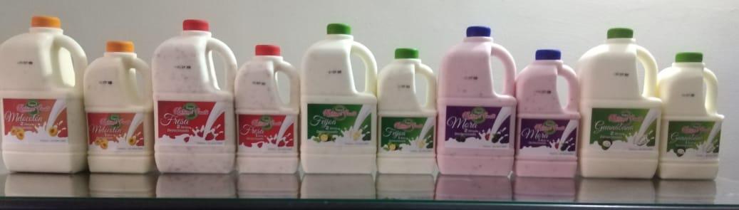 Yogurt Sabores Surtidos