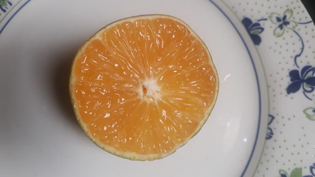 Naranja Dulce Y Jugosa Variedad Tangelo Presentacion Por Canastilla De 25 Kilogramos