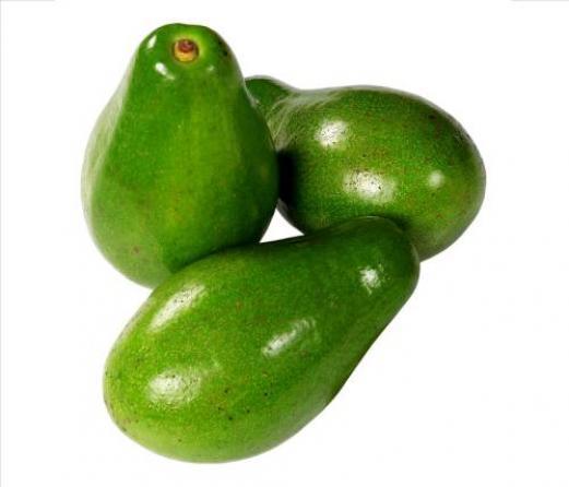 Aguacate Lorena Produccion Limpia