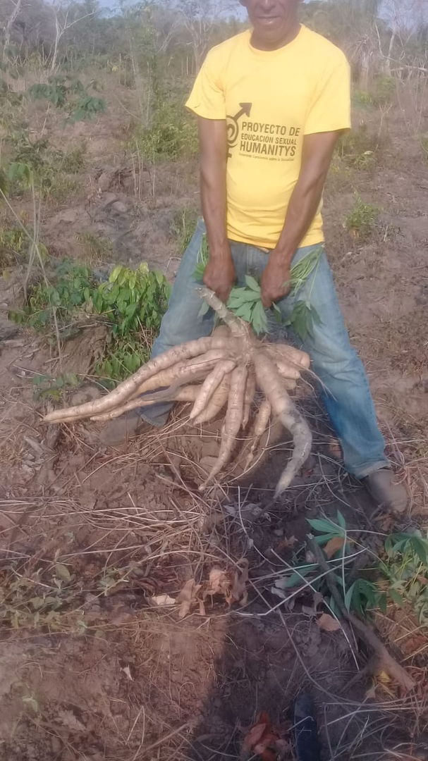 Yuca Industrial