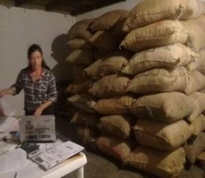 Cacao En Grano Seco Premium