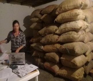 Cacao En Grano Seco Premium