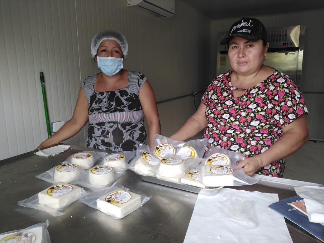 Queso Prensado
