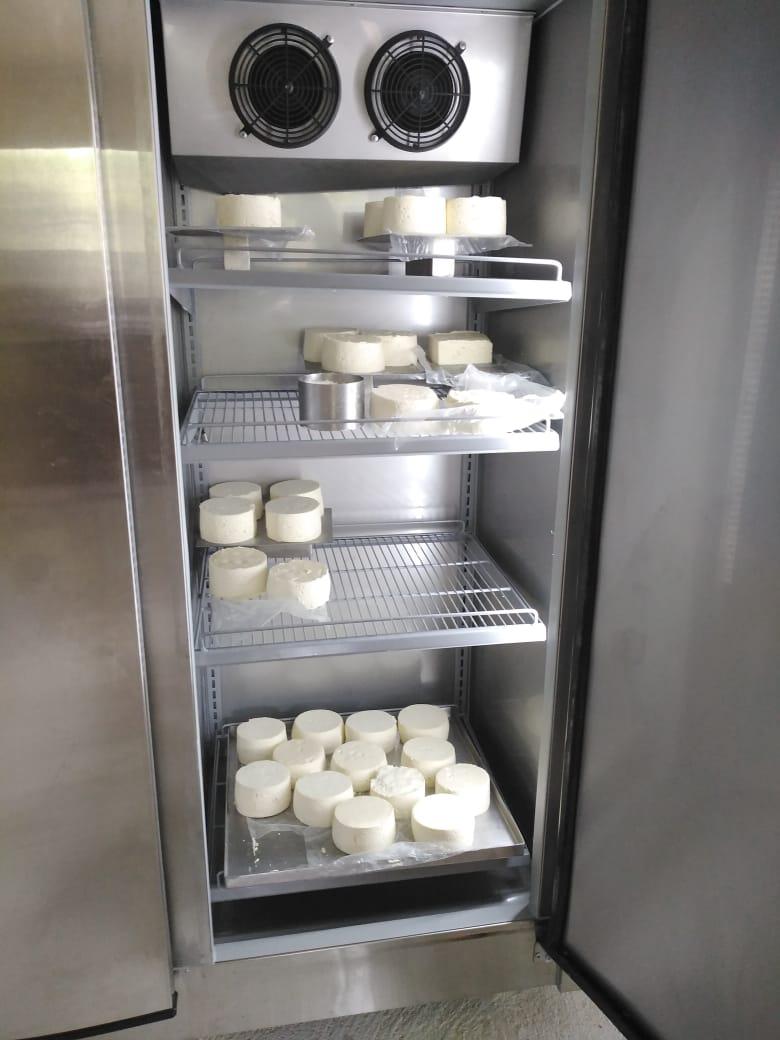 Queso Prensado