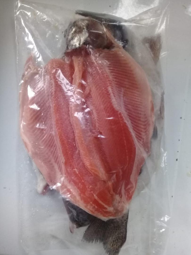 Trucha Presentacionde Dos Animales Por Libra