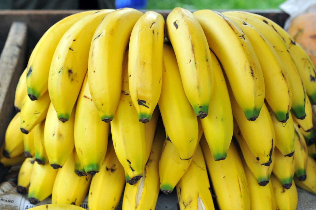 Banano