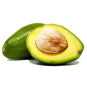Aguacate Lorena