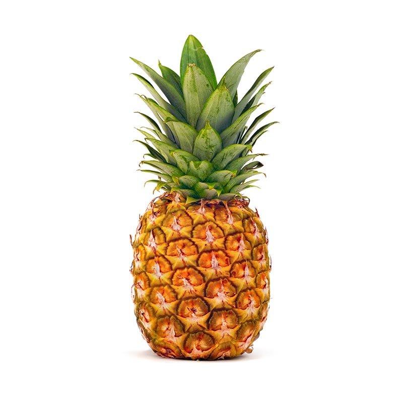 Pina
