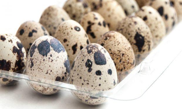 Huevos De Codorniz Caja De 24
