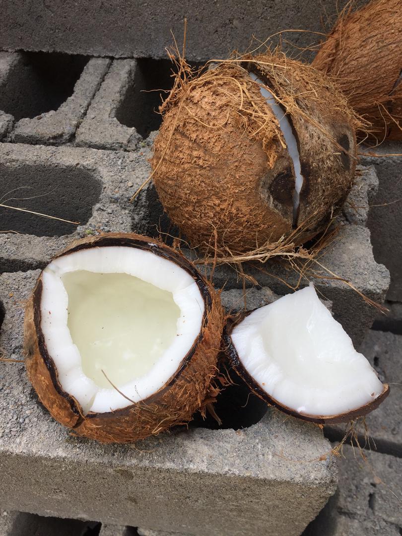 Coco Maduro Y Seco