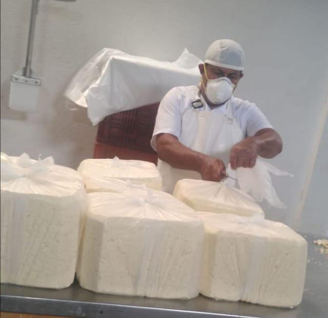 Queso Salado En Bloque De 25 Kg