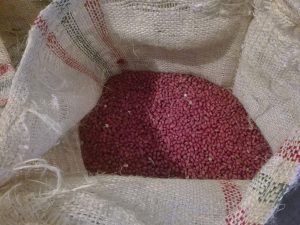 Mani Por Bulto De 625 Kilos