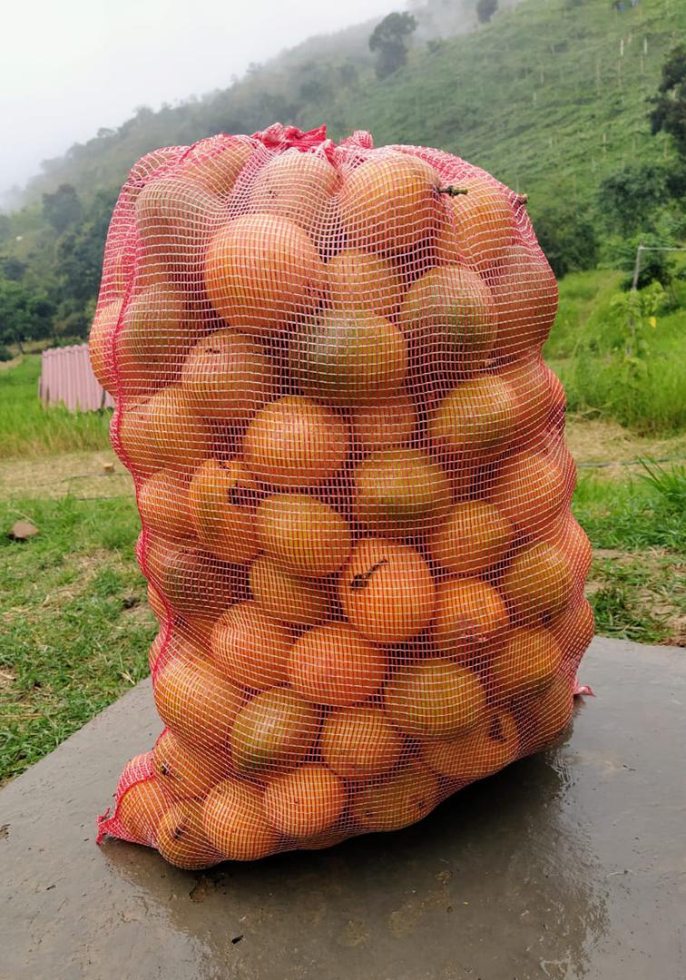 Maracuya