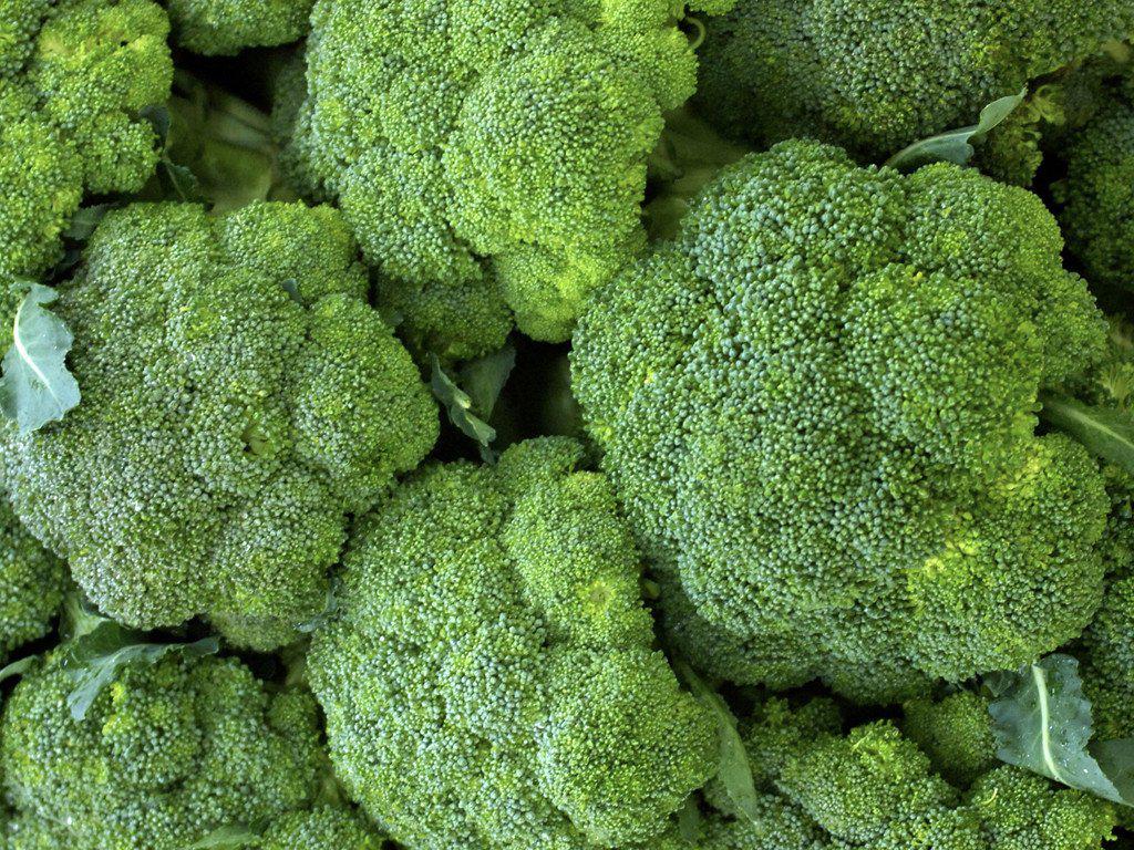 Brocoli Por Libra Organico