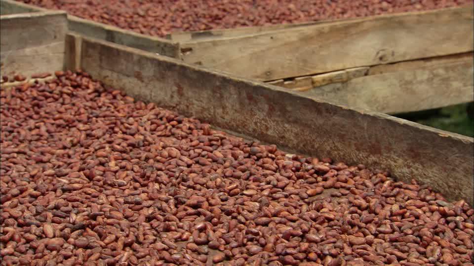 Cacao Platano Naranja