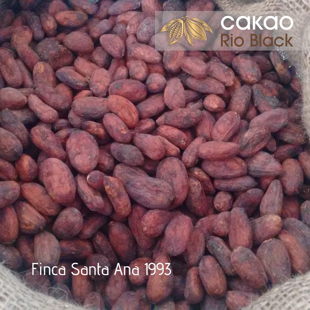 Cacao En Grano Seco Premium — foto 2 de 2