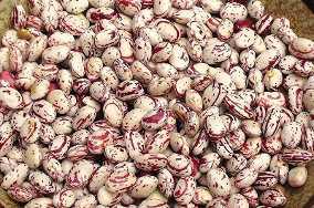 Frijol Cargamanto Blanco