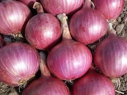 Cebolla Roja