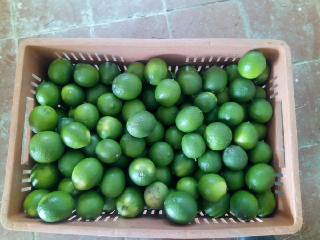 Limon Tahiti