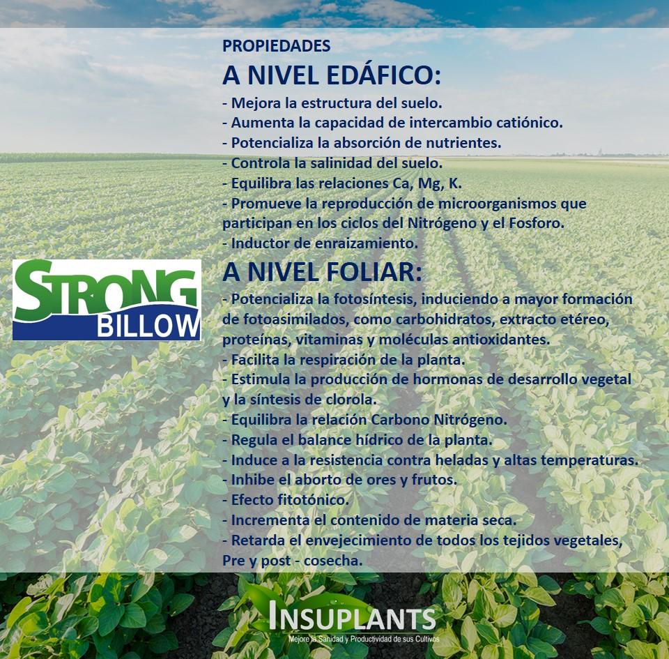Strong Billow