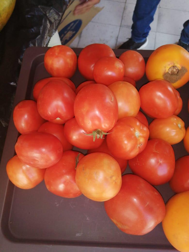 Tomate Chonto — foto 2 de 2