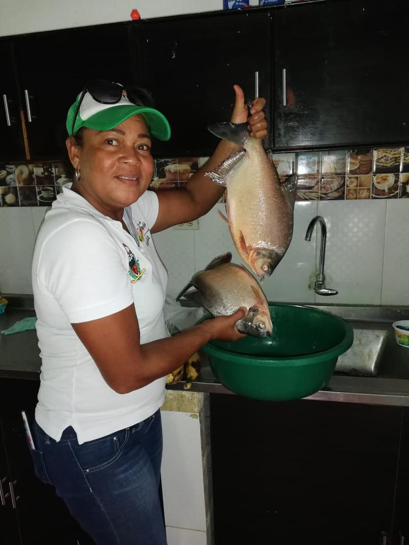 Carne De Cachama