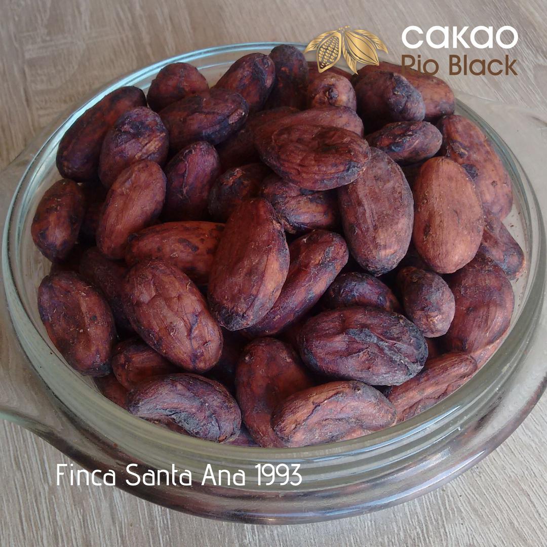 Cacao En Grano Seco Premium
