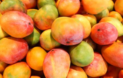Mango