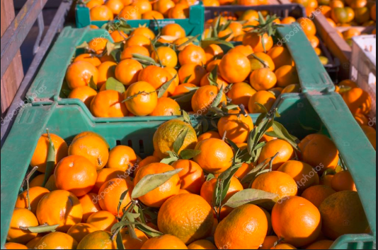 Canastilla De Mandarina
