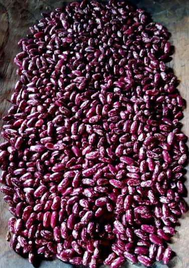 Frijol Calima Bolo Rojo Cargamanto