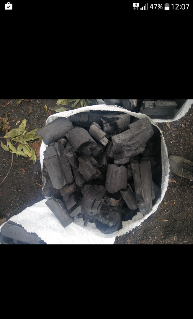 Carbon Vegetal